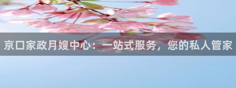 杏悦是什么平台