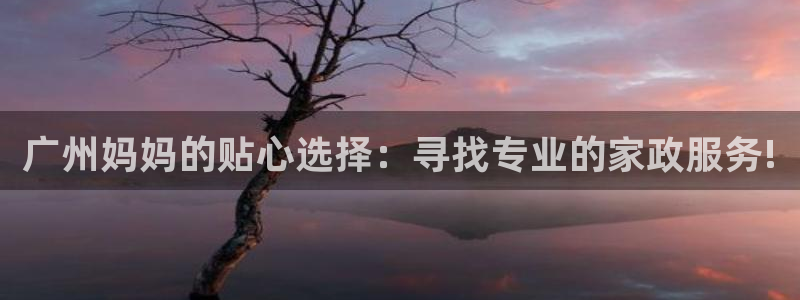 杏悦平台登录网址查询