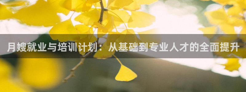 杏悦平台招商电话