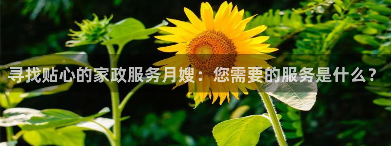 杏悦平台招商