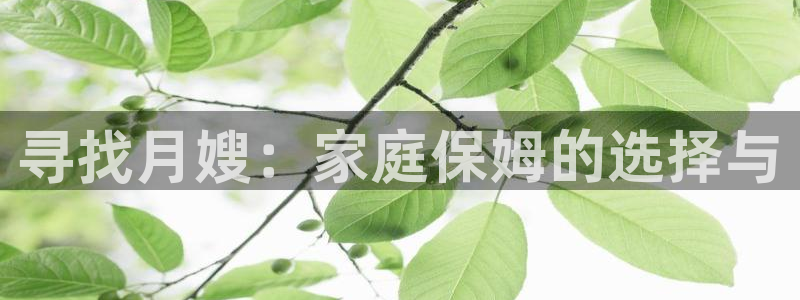 杏悦平台代理怎么赚钱的