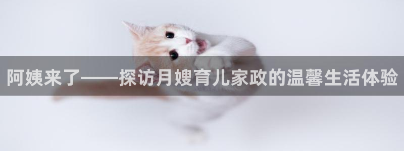 杏悦平台开户地址是什么