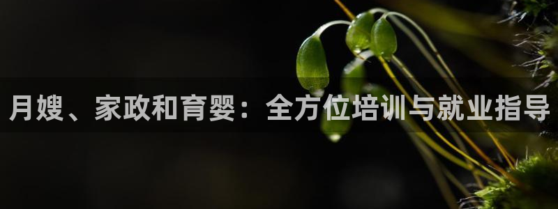 杏悦平台代理怎么做赚钱