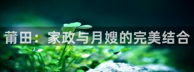 杏悦是什么平台