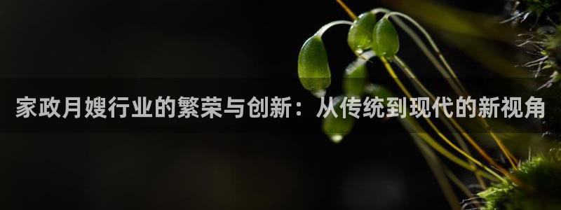 杏悦平台招商电话号码