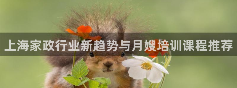 杏悦平台登录地址