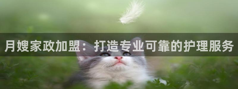 杏悦官方平台官网下载