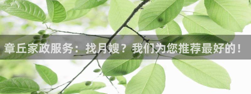 杏悦平台招商电话