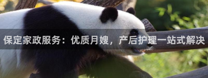 杏悦平台招商怎么样