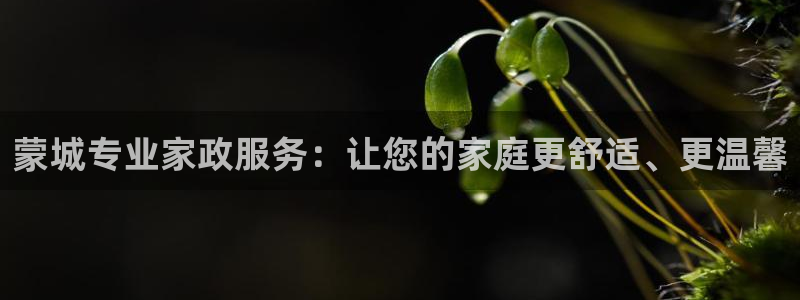 杏悦平台登录网址查询