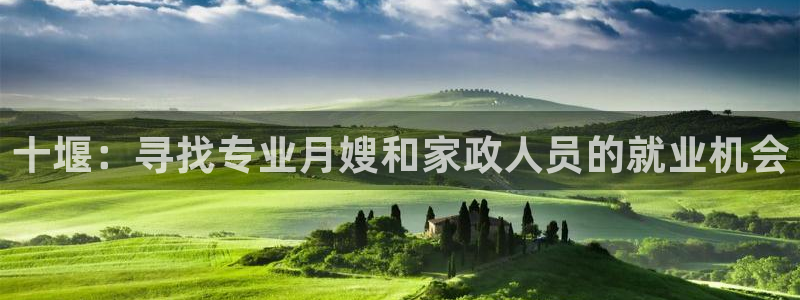 杏悦平台代理注册要钱吗