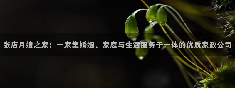 杏悦官方平台是正品吗